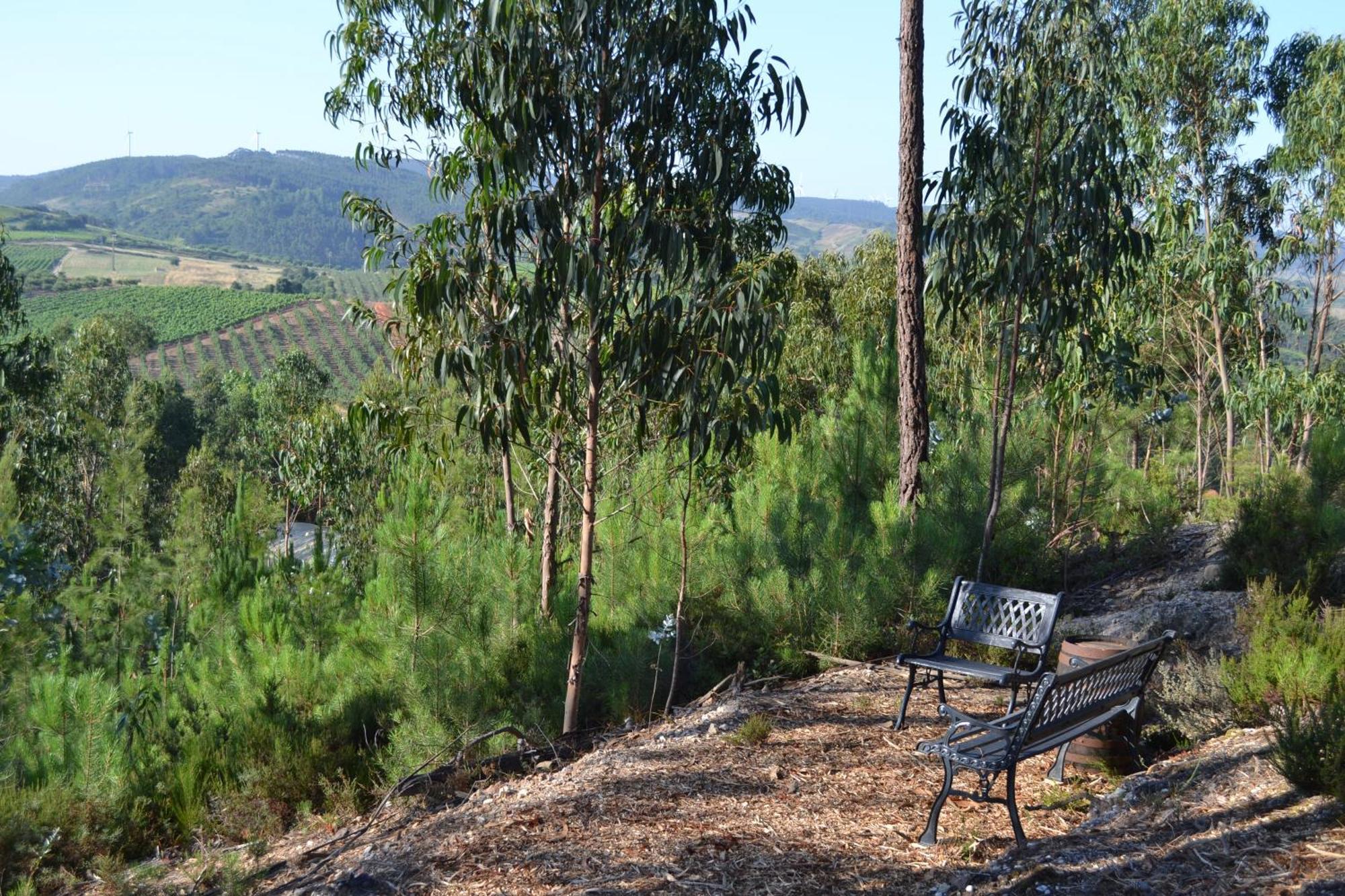 Mountview Villa Alenquer Luaran gambar